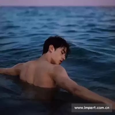 单进飙